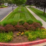 The Secrets to a Stunning Landscape: Mastering Landscape Maintenance