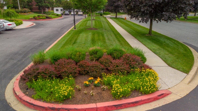 The Secrets to a Stunning Landscape: Mastering Landscape Maintenance