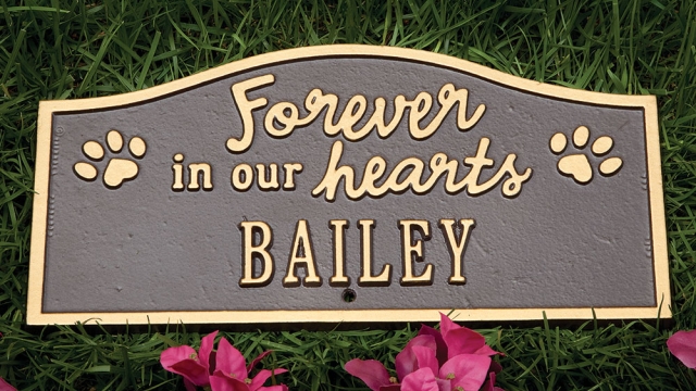 Forever in Our Hearts: Honoring Our Beloved Pets with a Touching Memorial