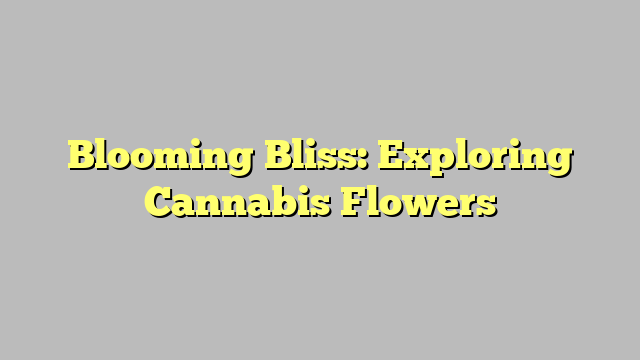 Blooming Bliss: Exploring Cannabis Flowers