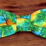 The Perfect Accessory: Choosing Between the Wedding Tie, Bow Tie, and Tropical Tie