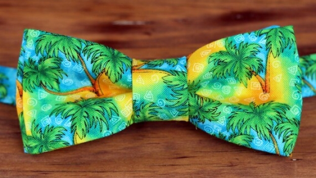 The Perfect Accessory: Choosing Between the Wedding Tie, Bow Tie, and Tropical Tie
