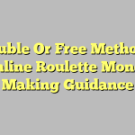 Double Or Free Method – Online Roulette Money Making Guidance