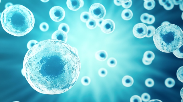 The Future of Medicine: Unlocking Potential with Stem Cell Therapy