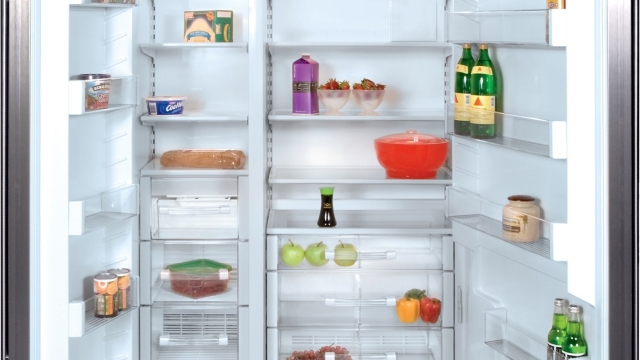 Chilling Innovations: Exploring the World of Sub Zero Appliances and Freezers