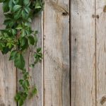 Battle of the Fences: Chain Link vs. Wood