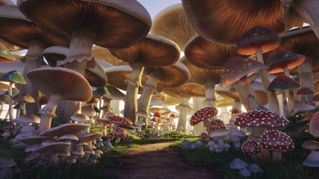 Fungi Fun: Unleashing the Magic of Mushroom Growing