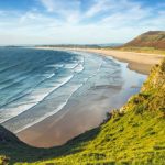 Harvest by the Shore: Exploring the Bountiful World of Coastal Farming