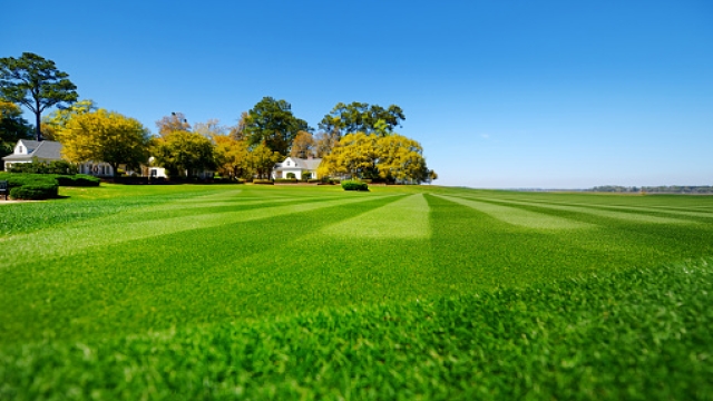 The Ultimate Guide to Achieving a Lush and Green Lawn