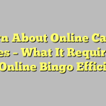 Learn About Online Casino Games – What It Requires To Play Online Bingo Efficiently