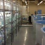 Revolutionizing the Blue: The Future of Aquaculture Technology