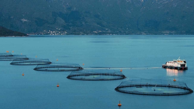 Revolutionizing the Waves: The Future of Aquaculture Technology