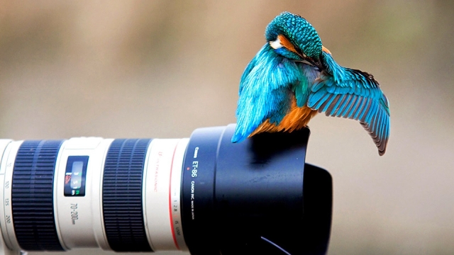 Capturing the Mile High Magic: A Journey Through Professional Photography in Denver